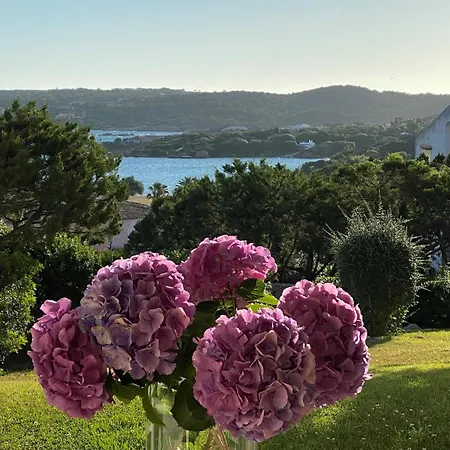 I Giardini Di Porto Cervo 140 Costa Smeralda アパート リーシャ・ディ・ヴァッカ
