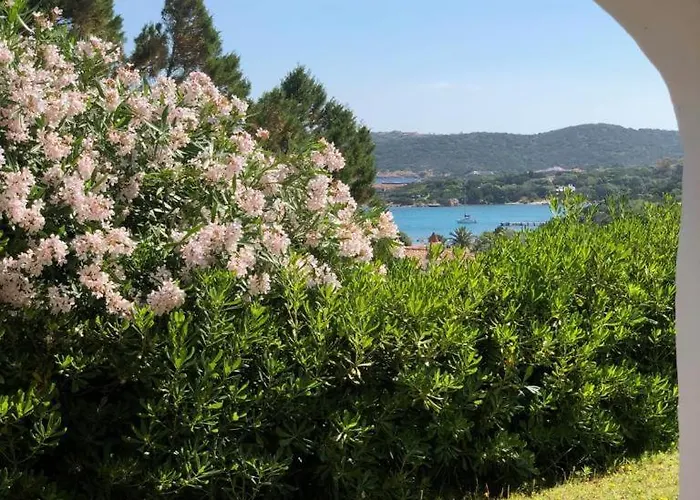 I Giardini Di Porto Cervo 140 Costa Smeralda Daire Liscia di Vacca