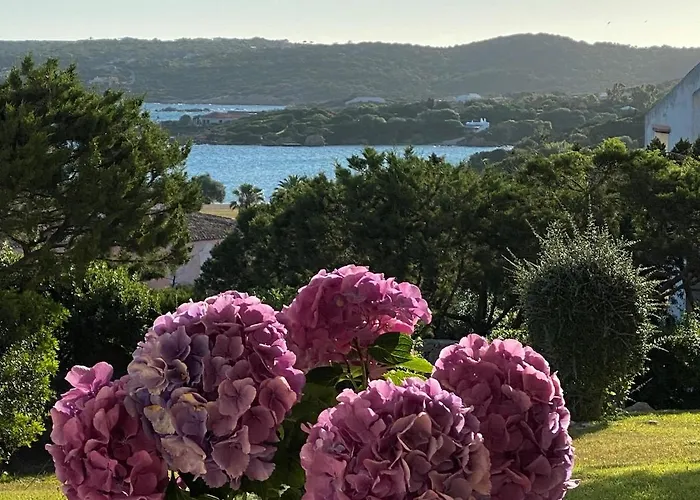 I Giardini Di Porto Cervo 140 Costa Smeralda Daire Liscia di Vacca